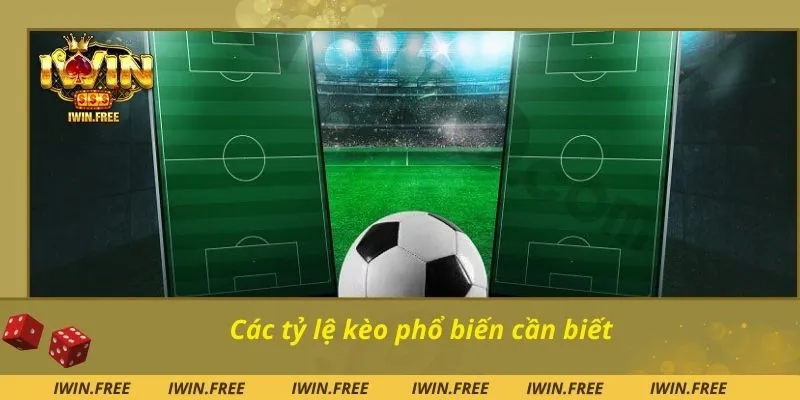 Các tỷ lệ kèo phổ biến cần biết