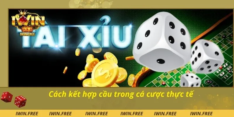 Cách kết hợp cầu trong cá cược thực tế