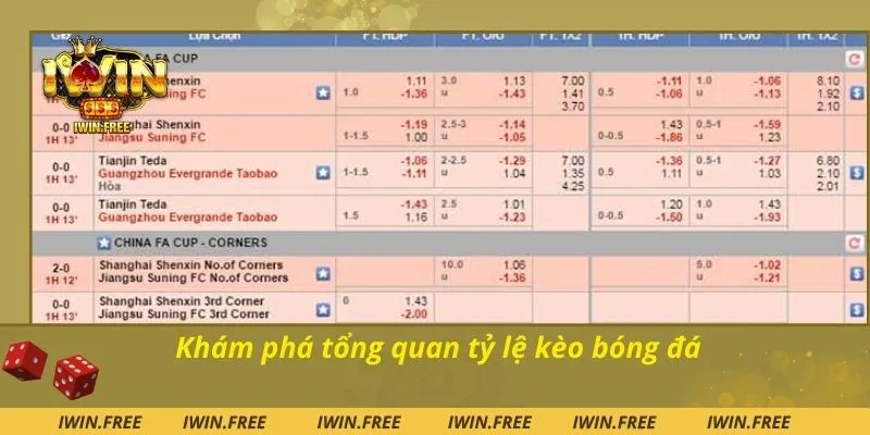 Khám phá tổng quan tỷ lệ kèo bóng đá